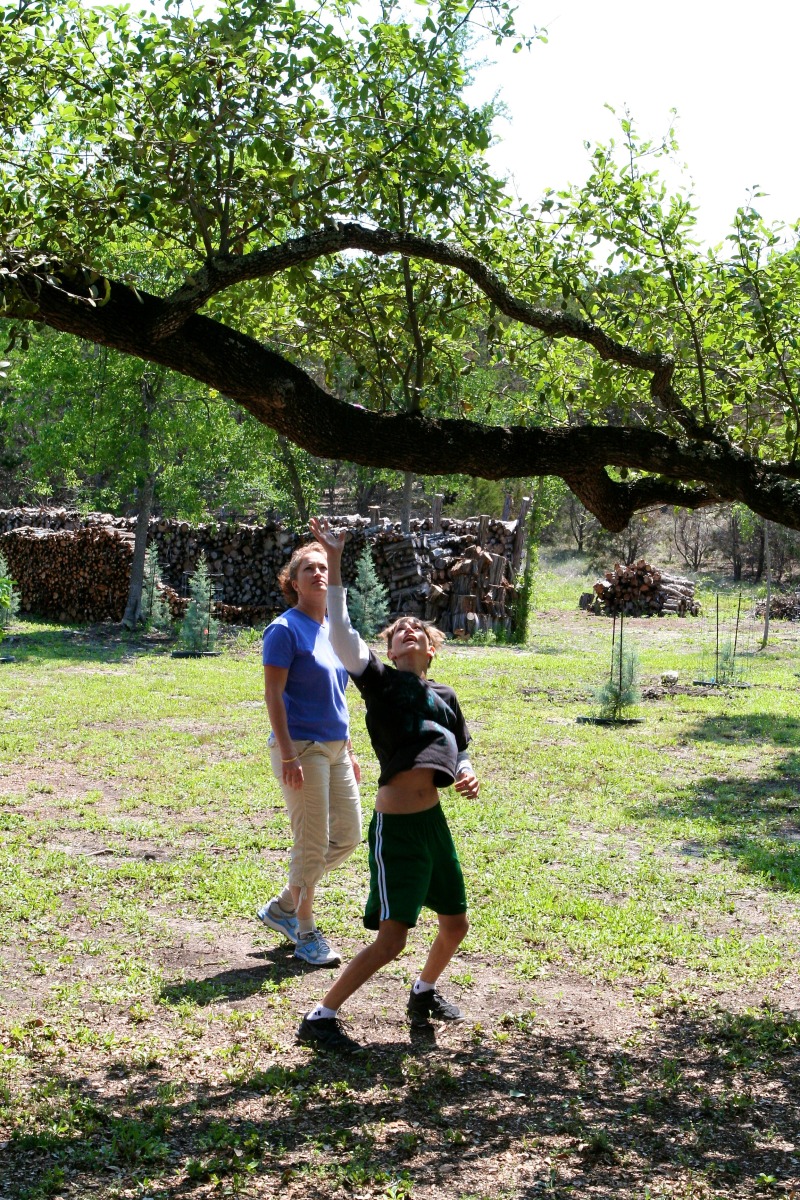 2012/04(April)/Easter/800x600_2012-04-08-20-Egg Hunt.jpg